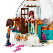 Lego 41760 Friends Igloo Holiday Adventure (491 Pieces)
