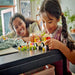 Lego 42633 Friends Hot Dog Food Truck (100 Pieces)-Construction-LEGO-Toycra