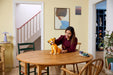 Lego 43247 Disney Young Simba The Lion King (1445 Pieces)-Construction-LEGO-Toycra
