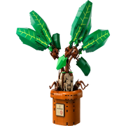 Lego 76433 Harry Potter Mandrake (579 Pieces)