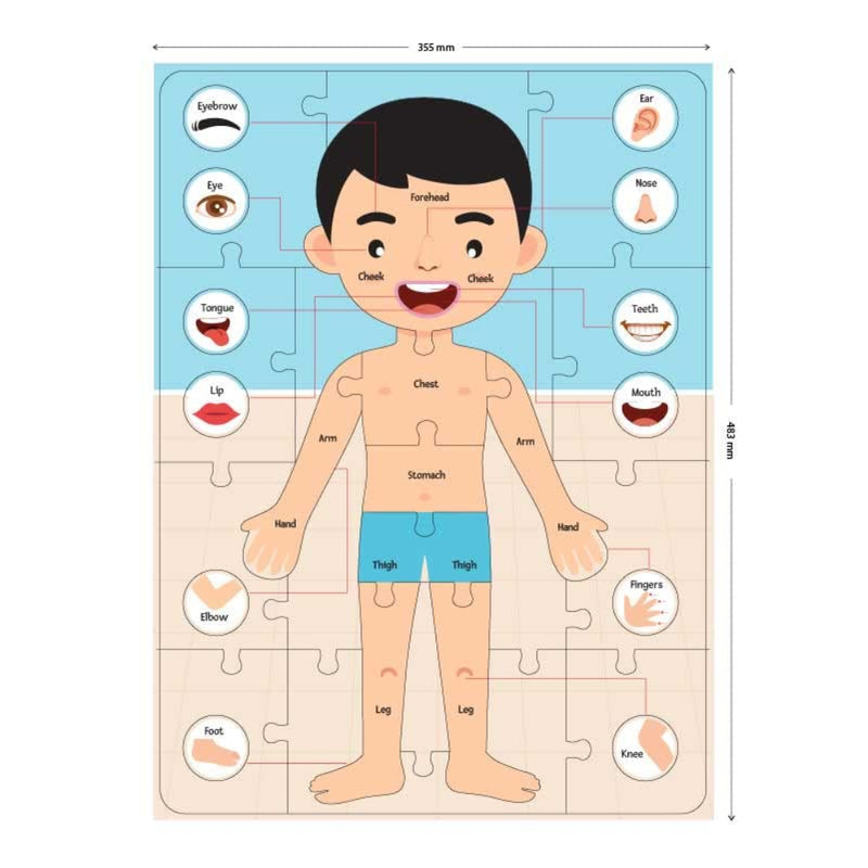 Let's Learn Human Body Shaped Puzzle (35 Pieces)