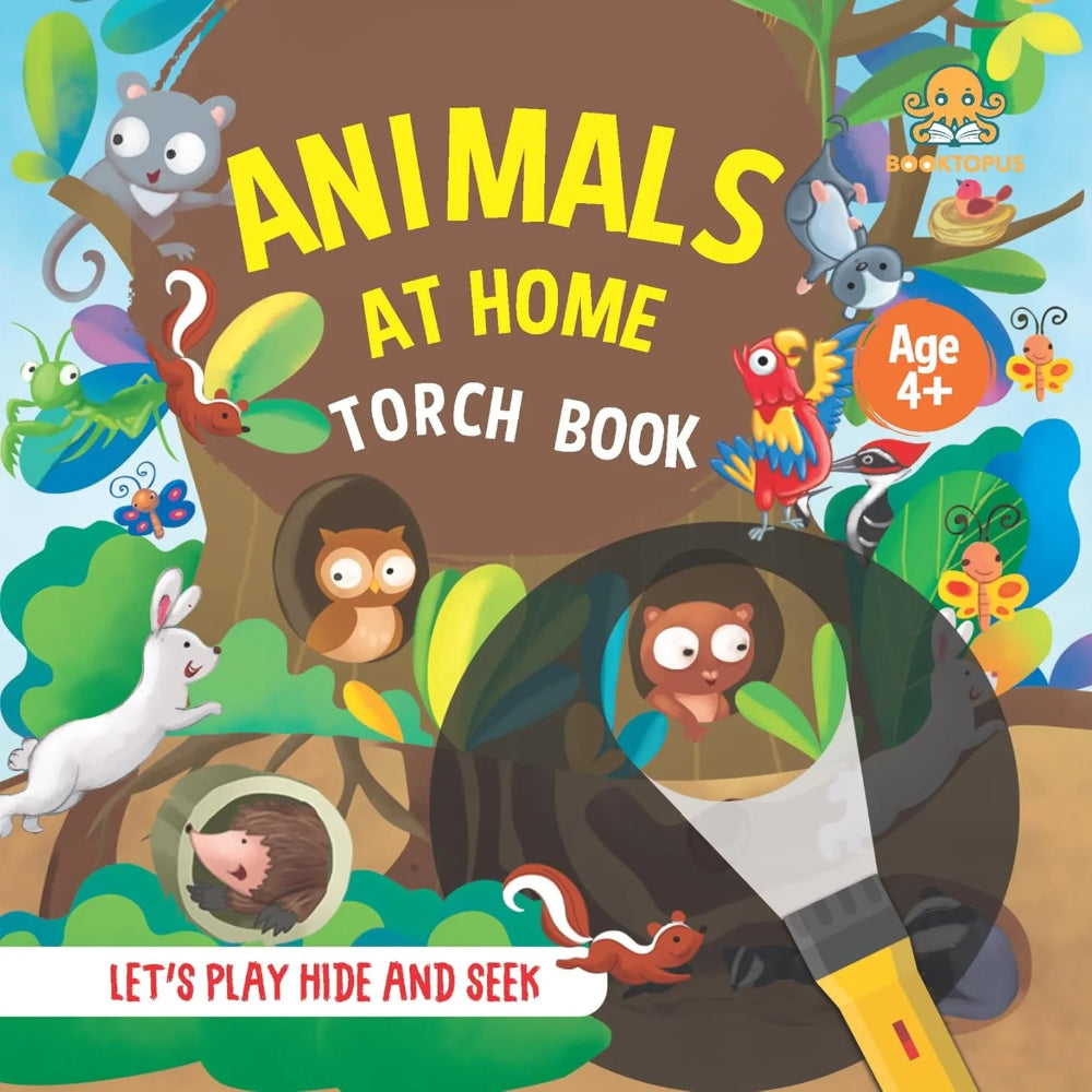 Let's Play Hide And Seek Torch Book