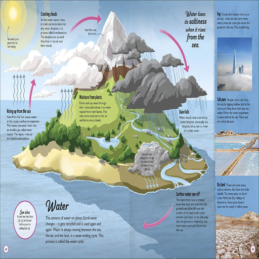 Life Cycles