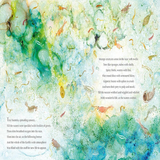 Life : The Story Of Life On Earth-Picture Book-Prh-Toycra