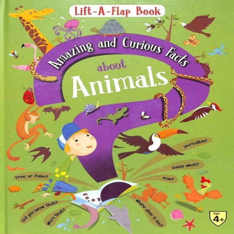 Lift A Flap Book Amazing & Curious Facts