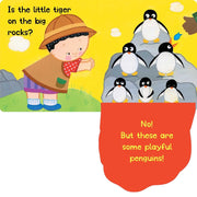 Lift The Flap Book : Karen Katz