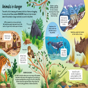 Lift-The-Flap Look Inside Books