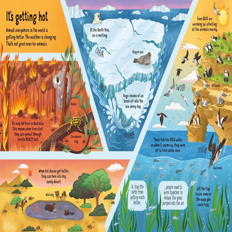Lift-The-Flap Look Inside Books