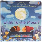 Lift-The-Flap Very First Questions And Answers