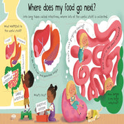 Lift the Flap First Questions and Answers