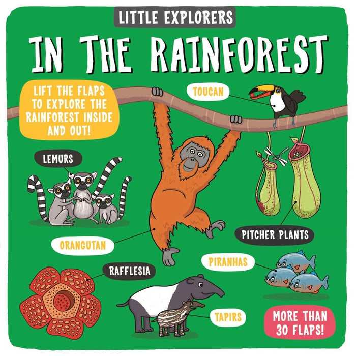 Little Explorers-Board Book-Hc-Toycra