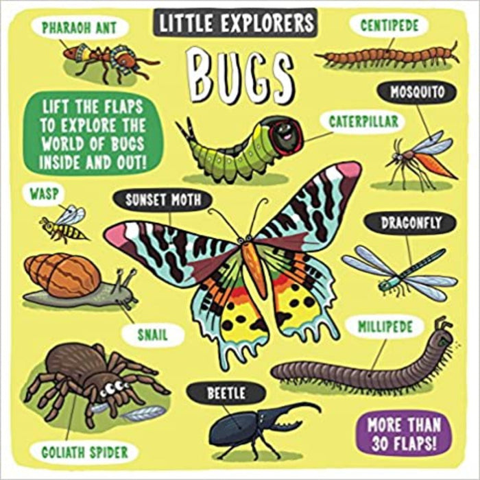 Little Explorers-Board Book-Hc-Toycra