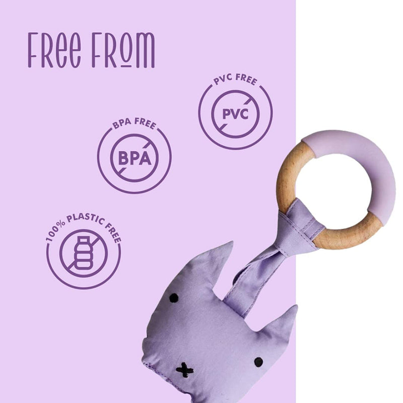 Little Rawr Wood Plush Rattle Teether