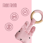 Little Rawr Wood Plush Rattle Teether