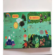 Little Wonders A Mega Flap Fact Book