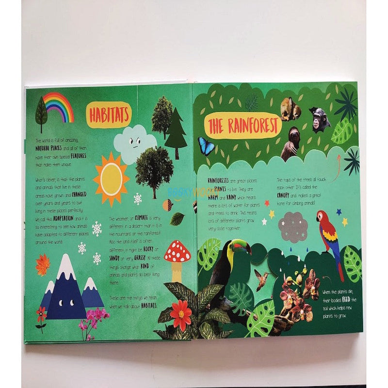 Little Wonders A Mega Flap Fact Book