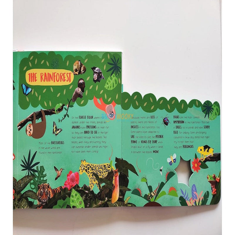 Little Wonders A Mega Flap Fact Book