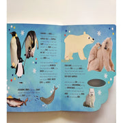 Little Wonders A Mega Flap Fact Book