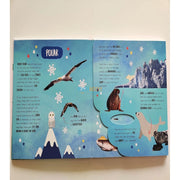 Little Wonders A Mega Flap Fact Book