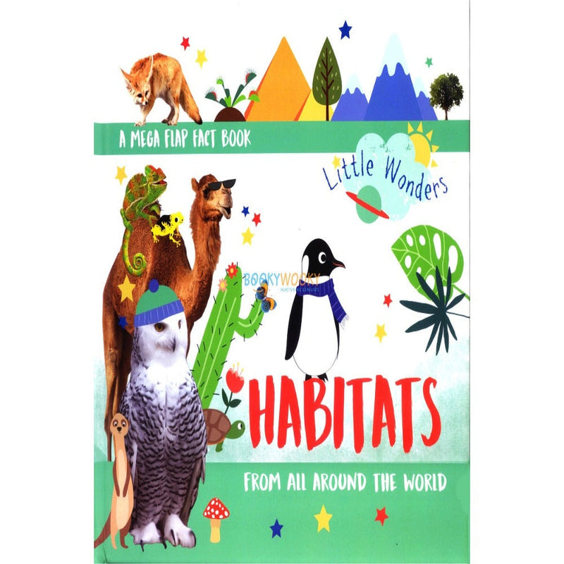 Little Wonders A Mega Flap Fact Book