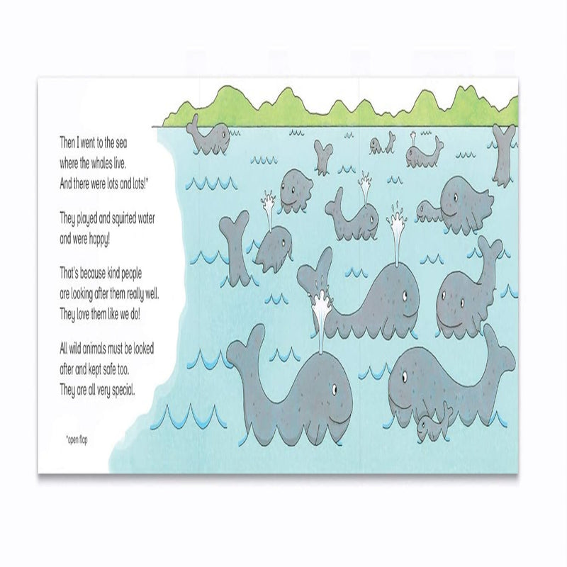 Look After Us - A Lift The Flap Book