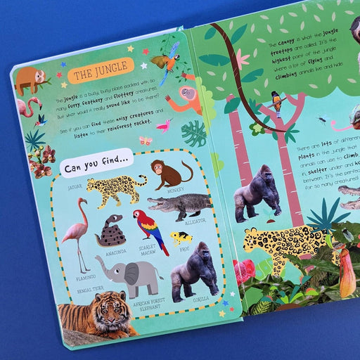 Look And Listen Sound Books-Sound Book-SBC-Toycra