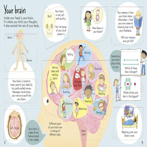 Look Inside Books Series-Encyclopedia-Usb-Toycra
