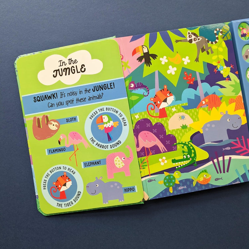 Look & Listen Sound Books With 12 Noisy Sounds
