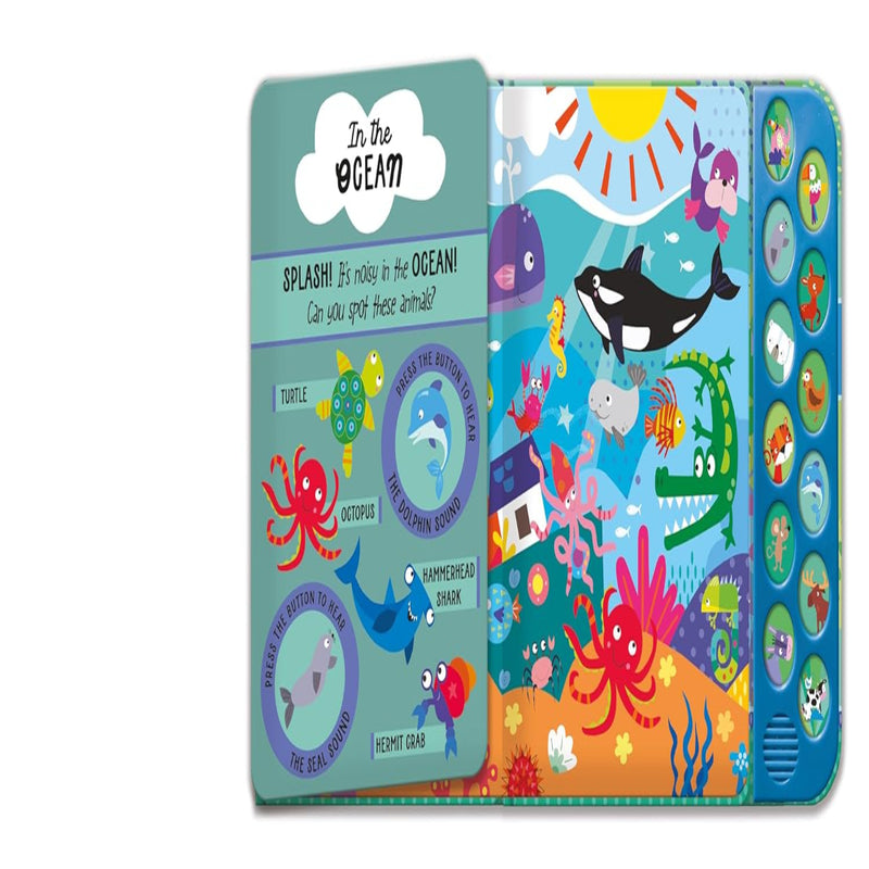Look & Listen Sound Books With 12 Noisy Sounds