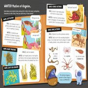 Lots Of Things To Know About Seas And Oceans