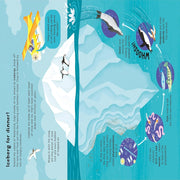 Lots Of Things To Know About Seas And Oceans