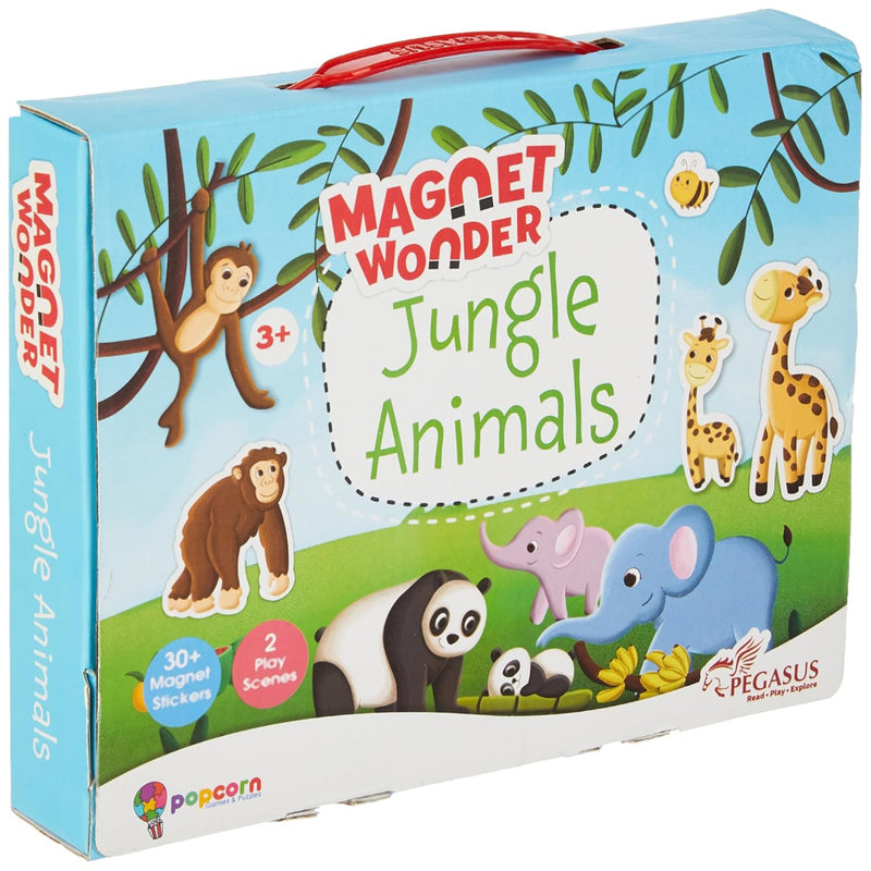 Magnet Wonders Activity set