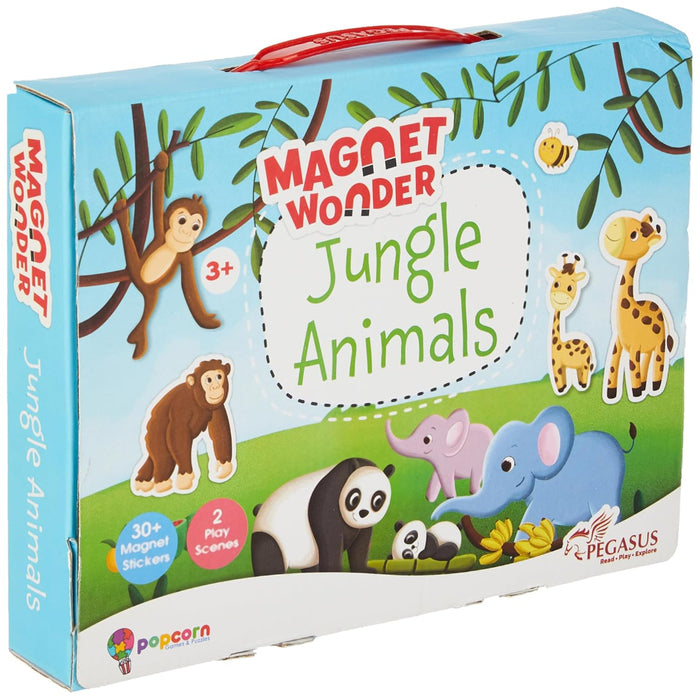 Magnet Wonders Activity set-Activity Books-Pegasus-Toycra