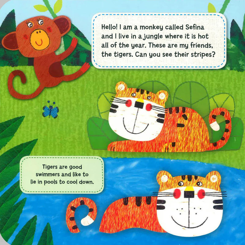 Make & Play Jungle