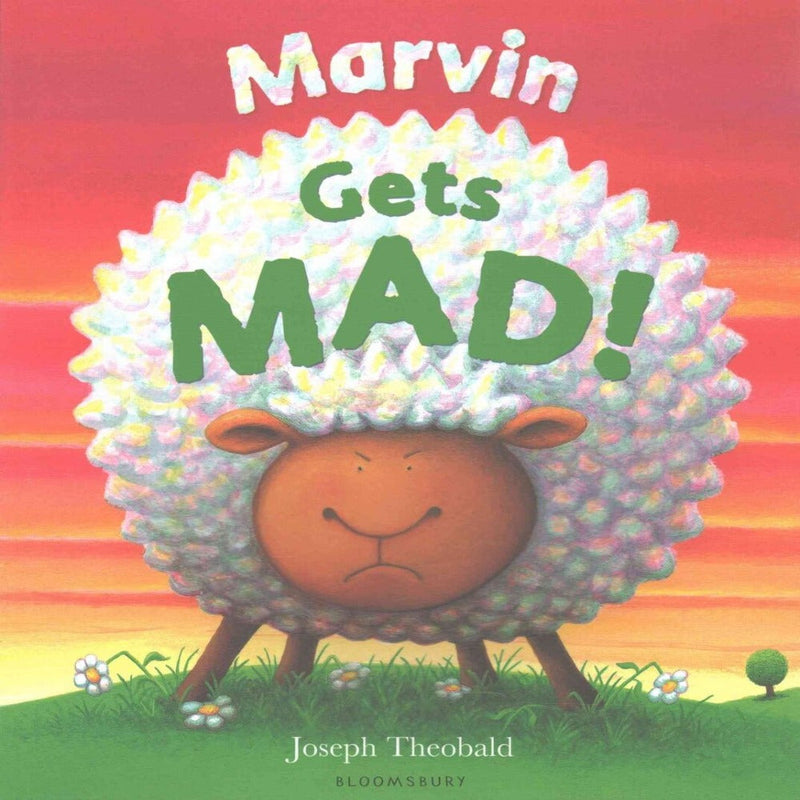 Marvin Picture Book