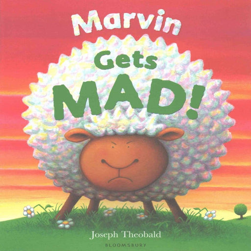 Marvin Picture Book