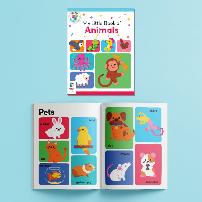 Match & Learn Floor Puzzles