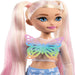 Mattel Barbie Dream Besties Doll and Accessories-Malibu-Dolls-Mattel-Toycra