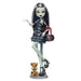 Mattel Monster High Frankie Stein Reproduction Doll With Doll Stand & Accessories-Dolls-Monster High-Toycra