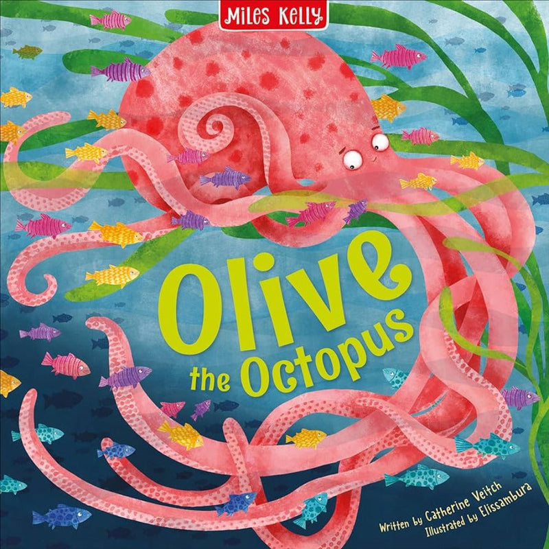 Miles Kelly Picture Book