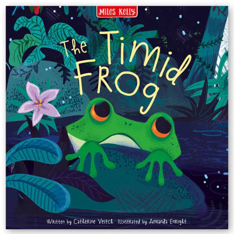 Miles Kelly Picture Book