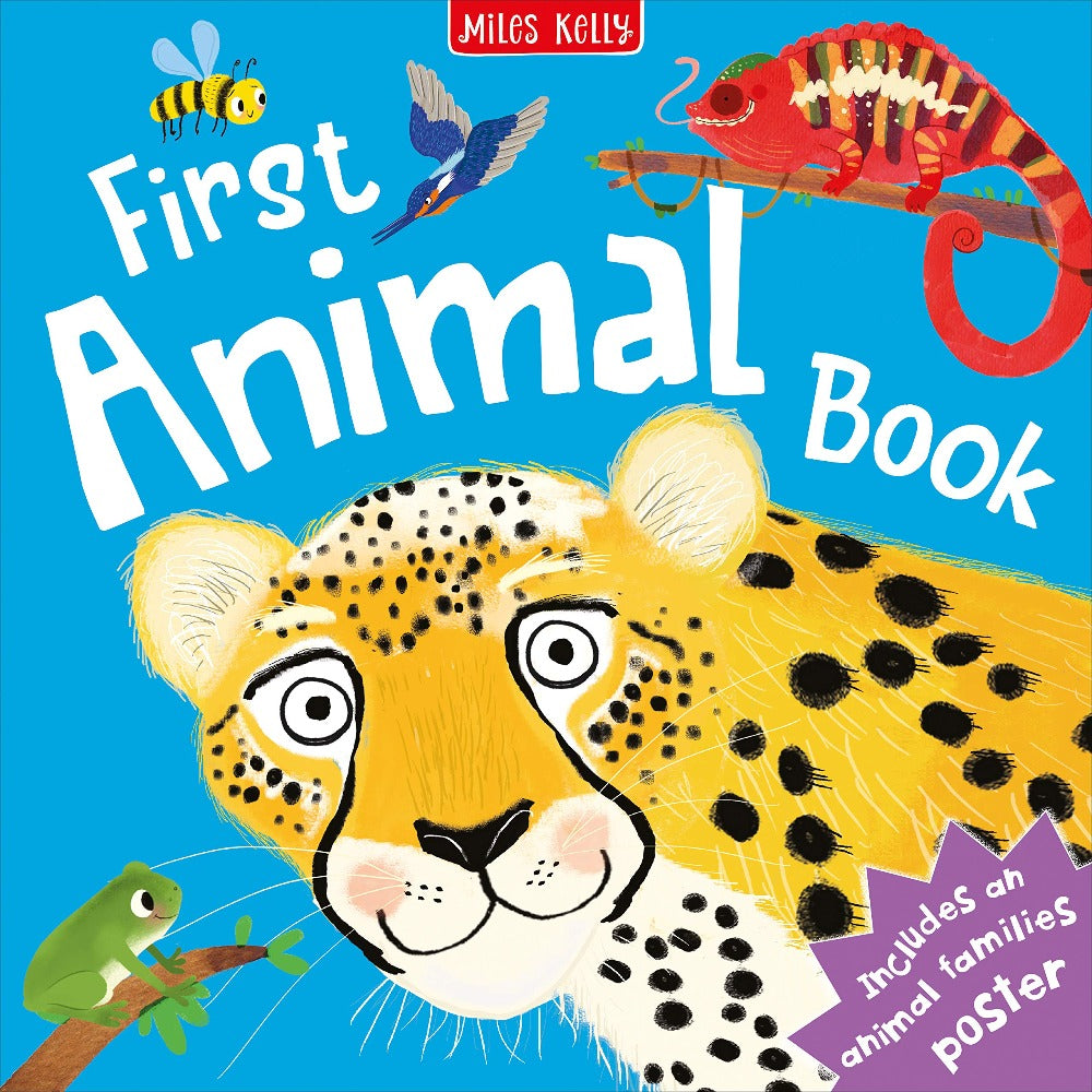 Why are sticker books so great for kids? – Miles Kelly