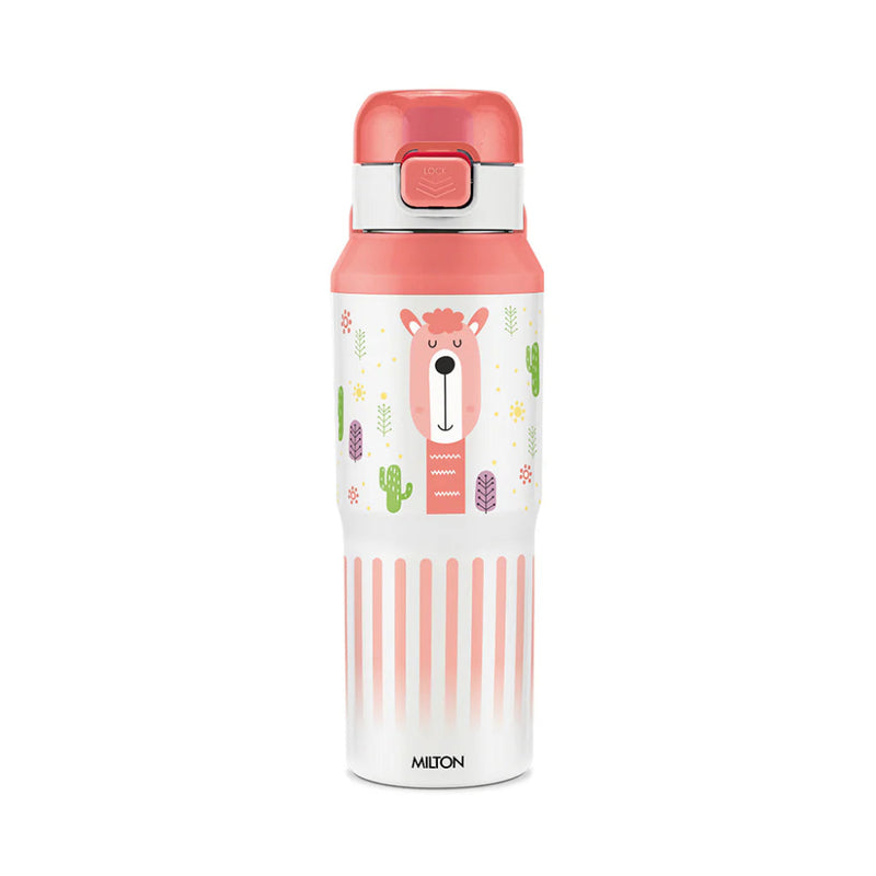 Milton Steel Helio 600 Thermosteel Water Bottle -520ML