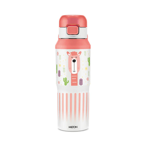 Milton Steel Helio 600 Thermosteel Water Bottle -520ML