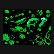 Mirada Glow In The Dark Puzzles - 50 Pieces