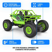 Mirana Duster 2WD RC Car