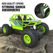 Mirana Duster 2WD RC Car