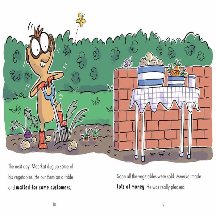 Money Matters : Meerkat Earns Money-Story Books-Hi-Toycra