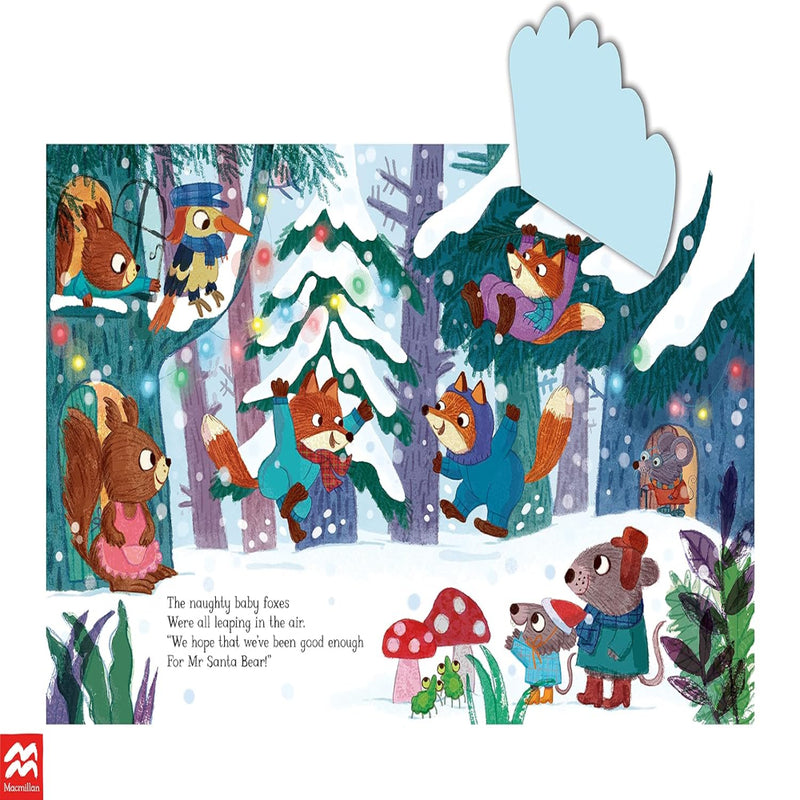 Mr Badger's Christmas Wish