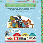 Mr Badger's Christmas Wish